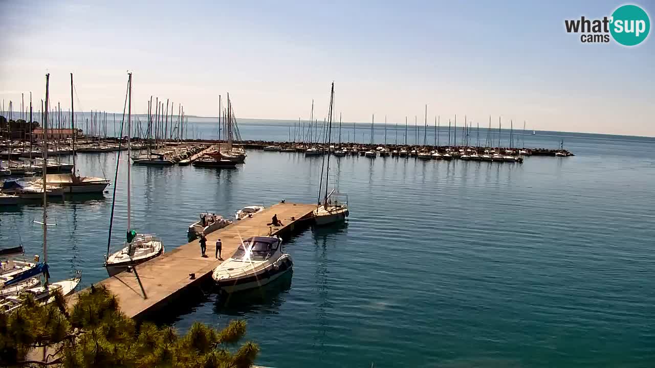 Webcam Sistiana – Blick auf Marina und Bucht