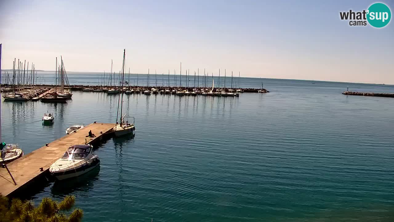Spletna kamera Sesljan (Sistiana) – Pogled na marino in zaliv
