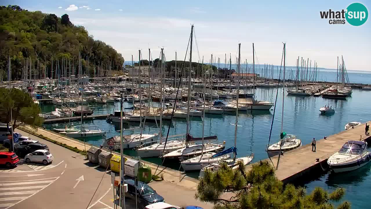 Webcam Sistiana – Marina and Bay Live View
