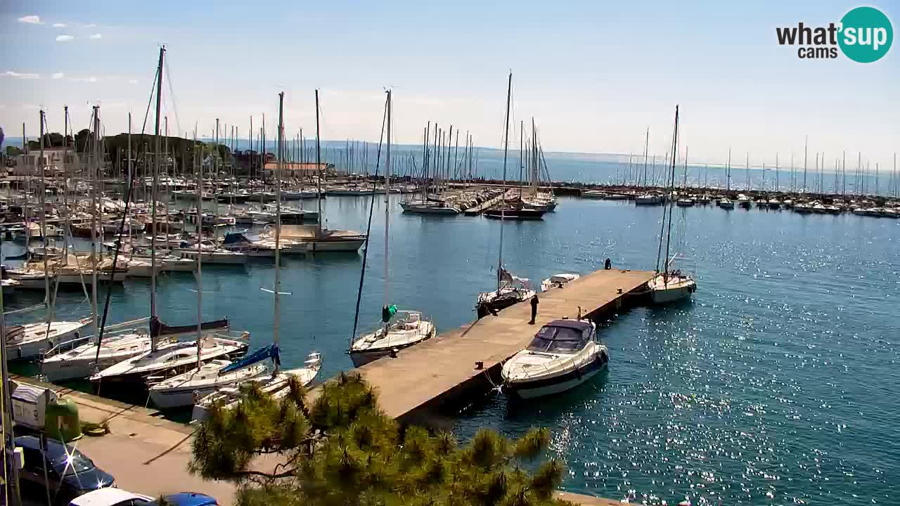 Webcam Sistiana – Blick auf Marina und Bucht