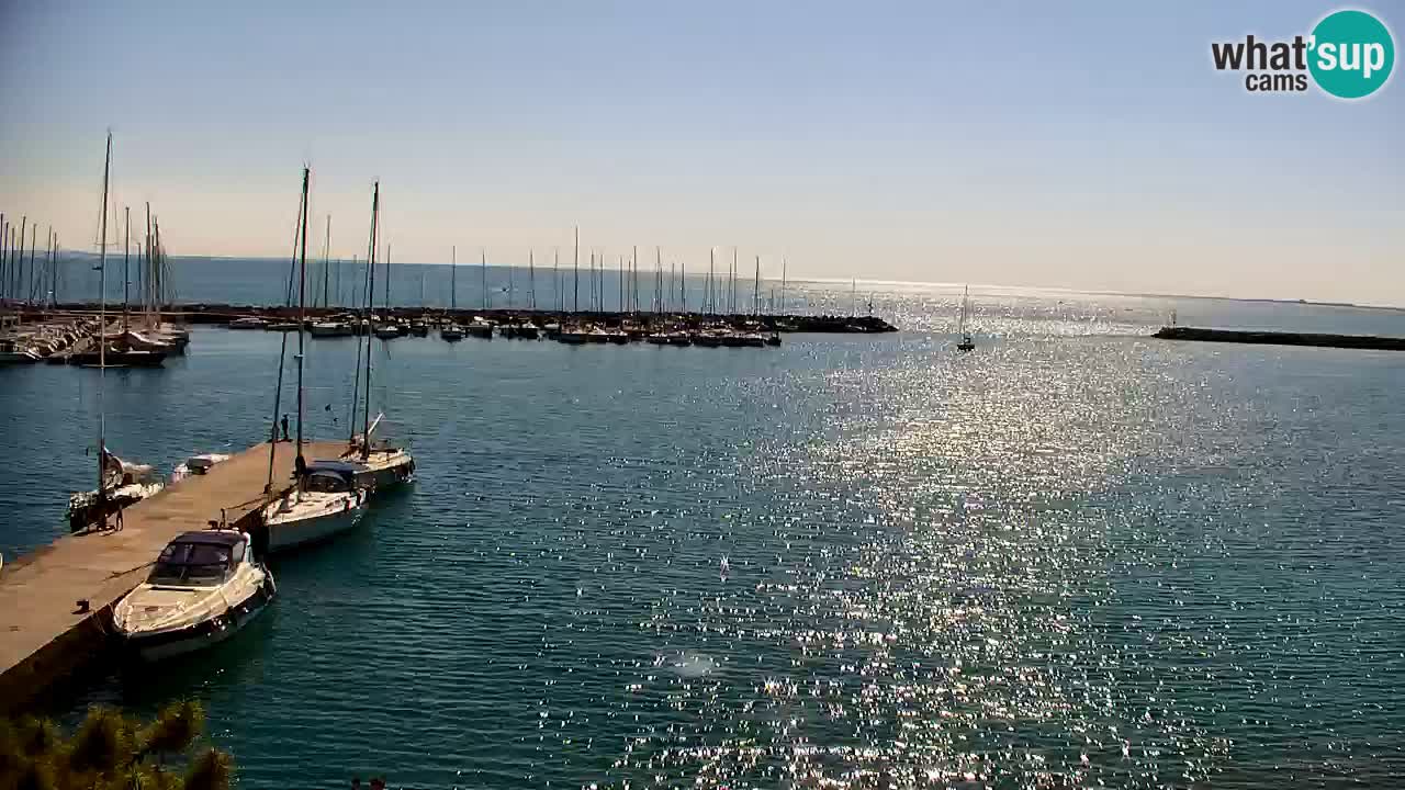 Spletna kamera Sesljan (Sistiana) – Pogled na marino in zaliv