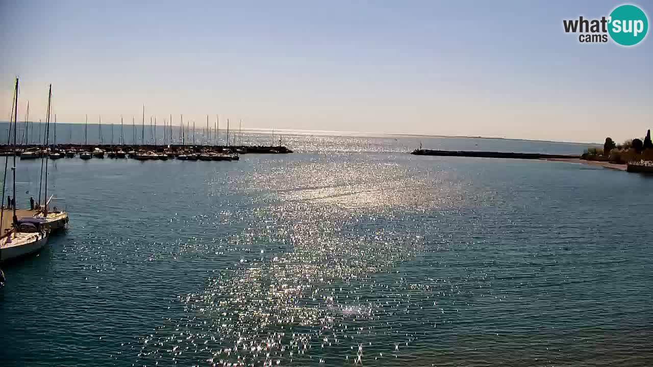 Webcam Sistiana – Vista sulla marina e sulla baia