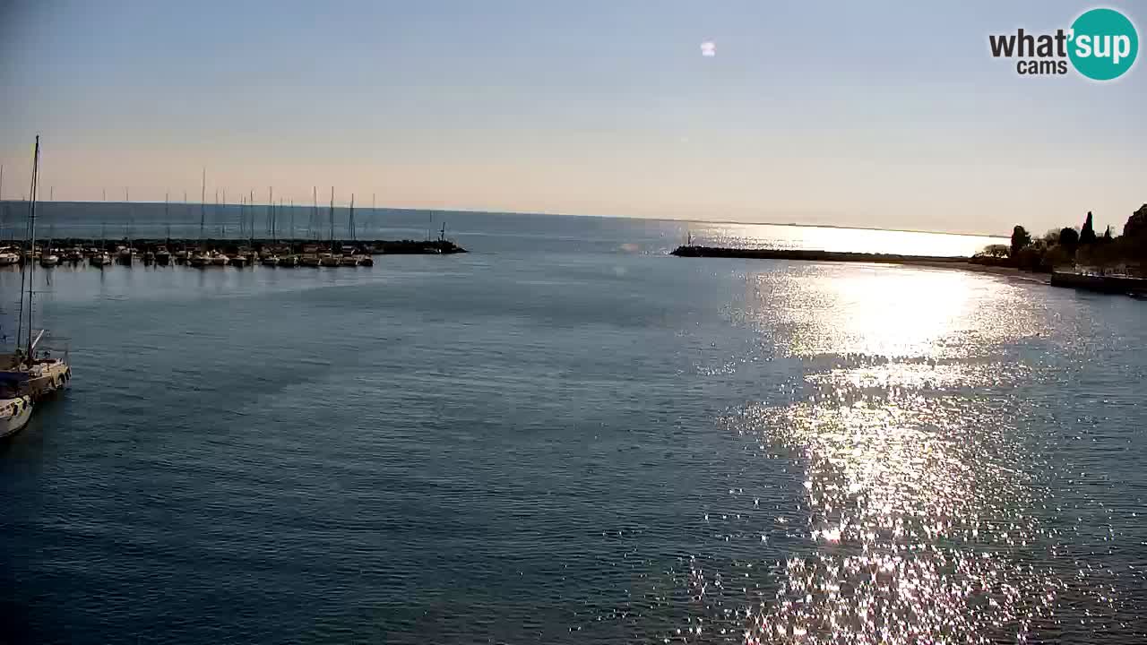 Webcam Sistiana – Vue sur la marina et la baie