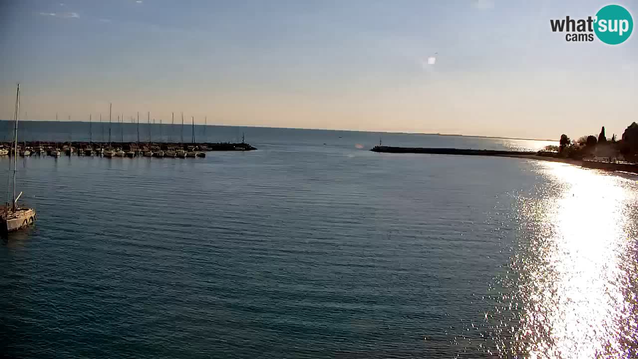 Webcam Sistiana – Marina and Bay Live View