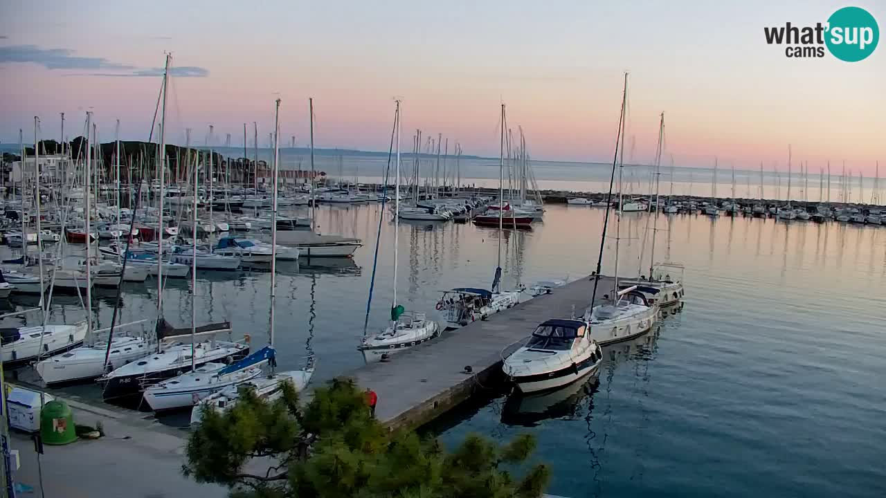 Webcam Sistiana – Pogled na marinu i zaljev