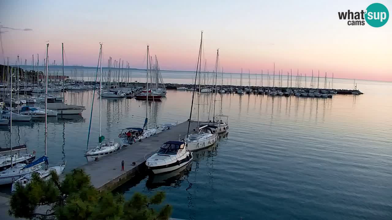 Webcam Sistiana – Marina and Bay Live View