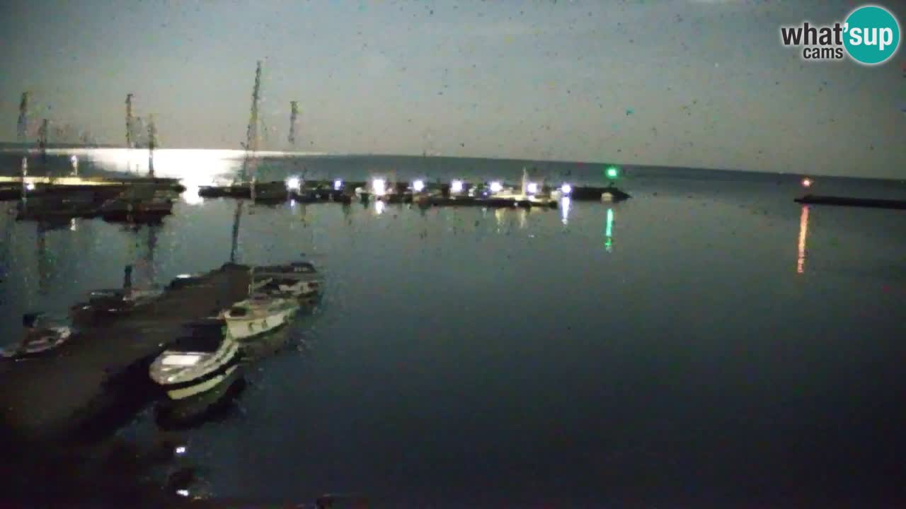 Webcam Sistiana – Marina and Bay Live View