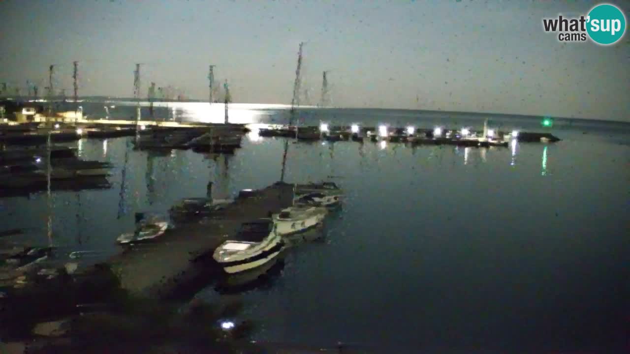 Webcam Sistiana – Marina and Bay Live View