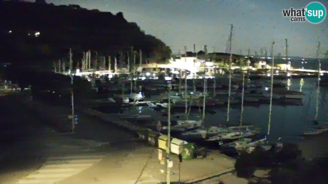 Spletna kamera Sesljan (Sistiana) – Pogled na marino in zaliv