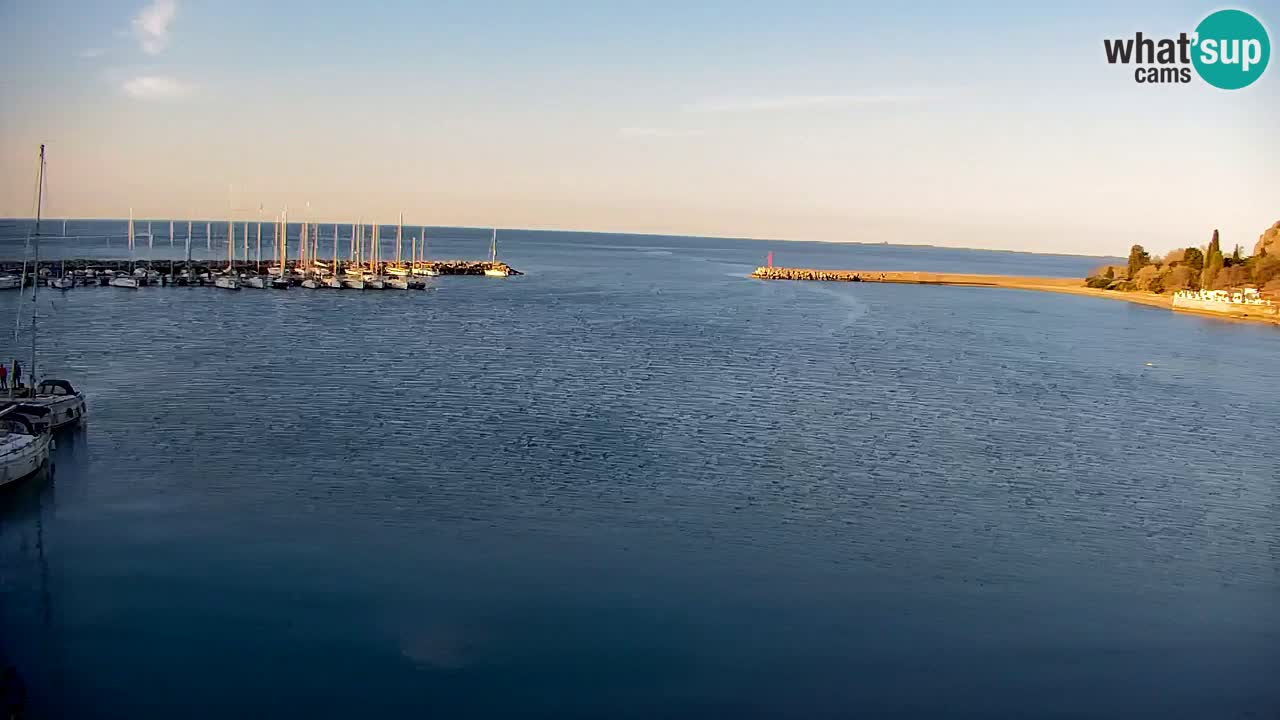 Webcam Sistiana – Marina and Bay Live View