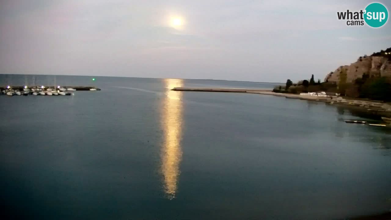 Spletna kamera Sesljan (Sistiana) – Pogled na marino in zaliv