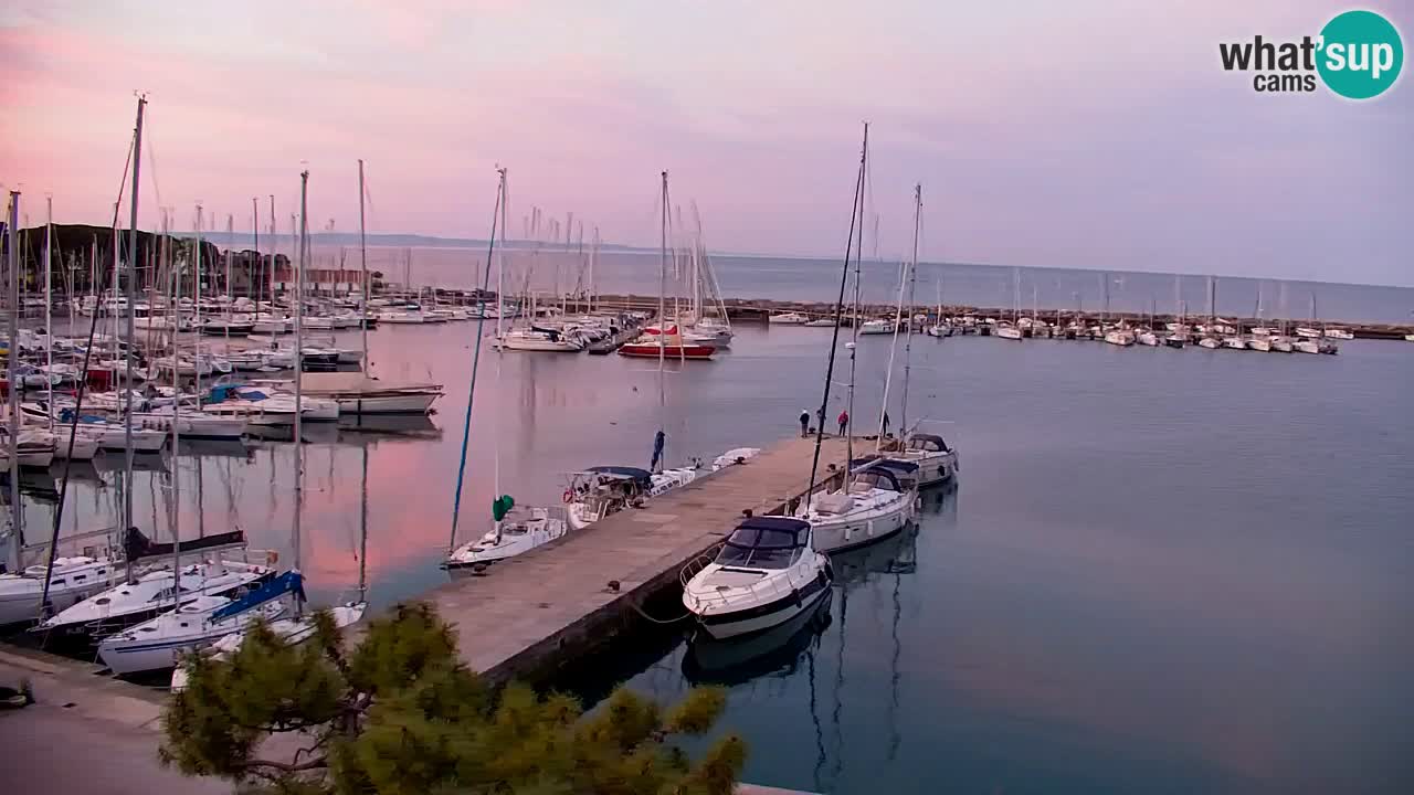 Webcam Sistiana – Pogled na marinu i zaljev