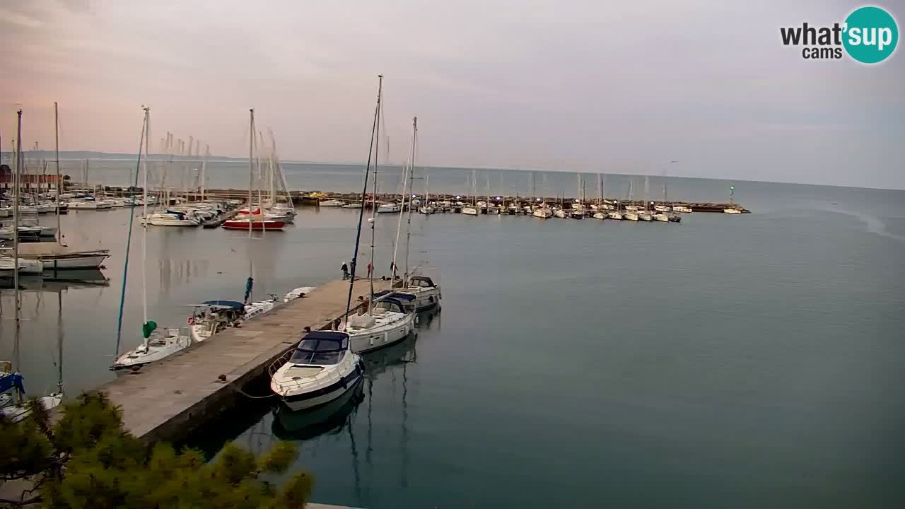 Spletna kamera Sesljan (Sistiana) – Pogled na marino in zaliv