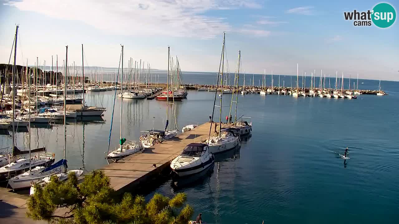 Webcam Sistiana – Pogled na marinu i zaljev