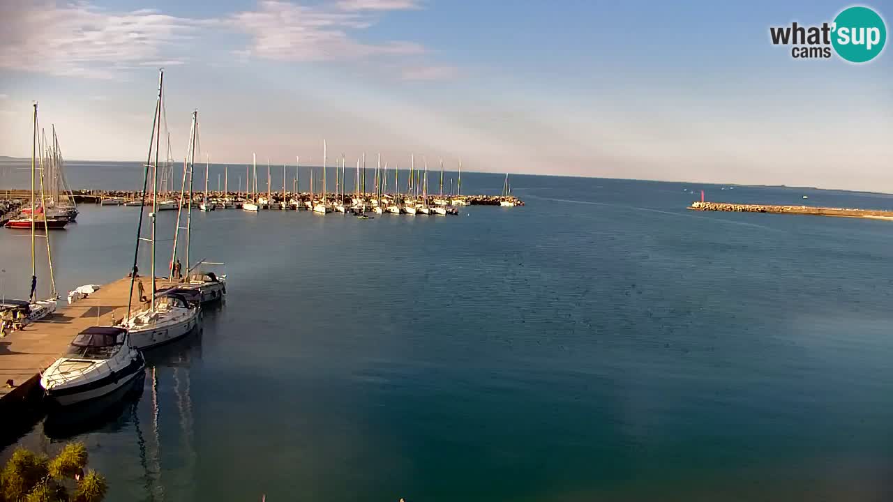 Webcam Sistiana – Pogled na marinu i zaljev