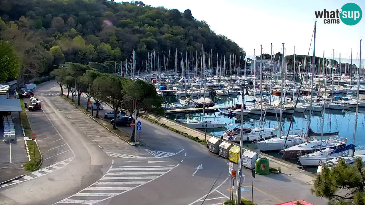Webcam Sistiana – Marina and Bay Live View