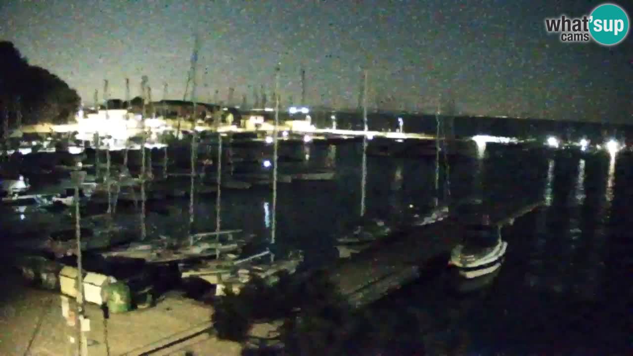 Webcam Sistiana – Pogled na marinu i zaljev