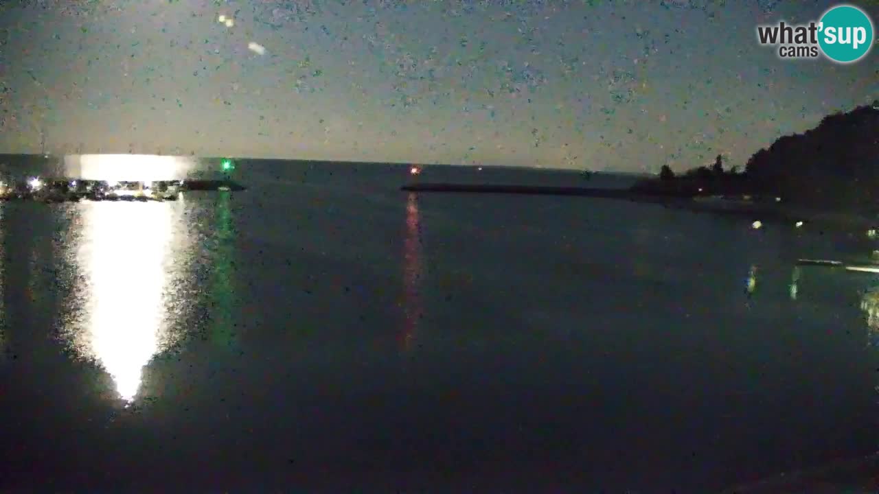 Webcam Sistiana – Pogled na marinu i zaljev