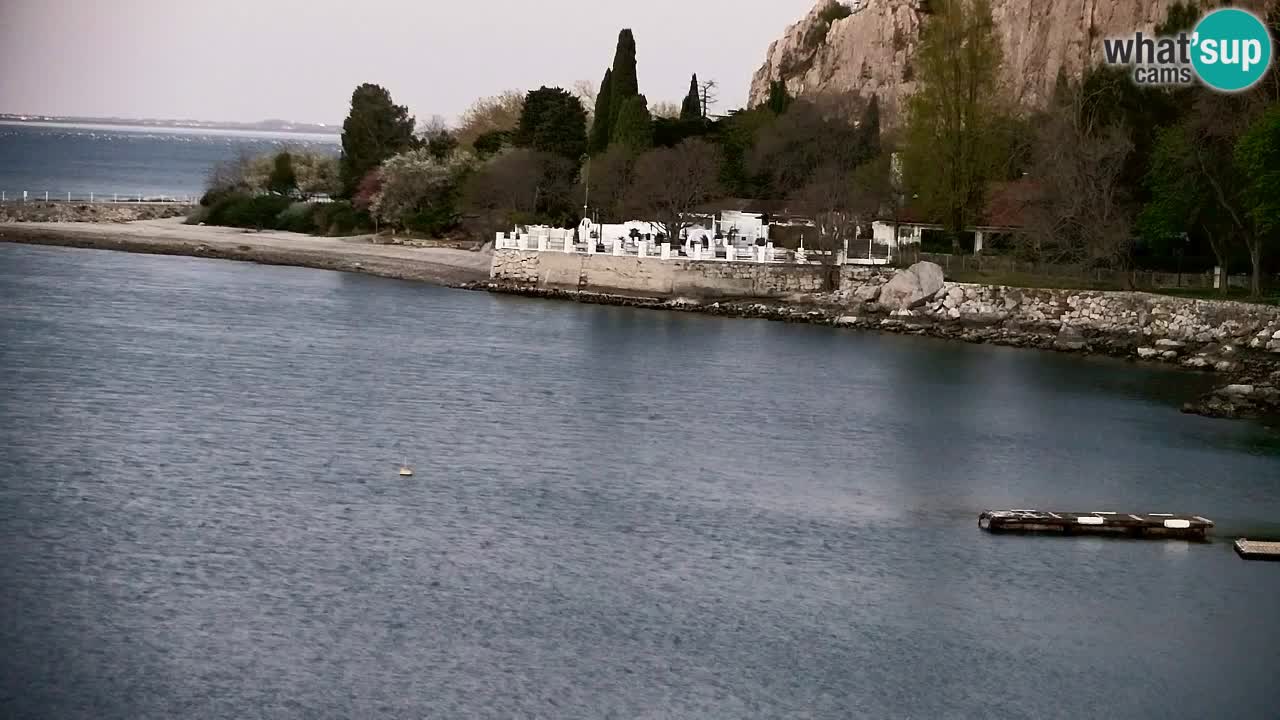 Webcam Sistiana – Pogled na marinu i zaljev