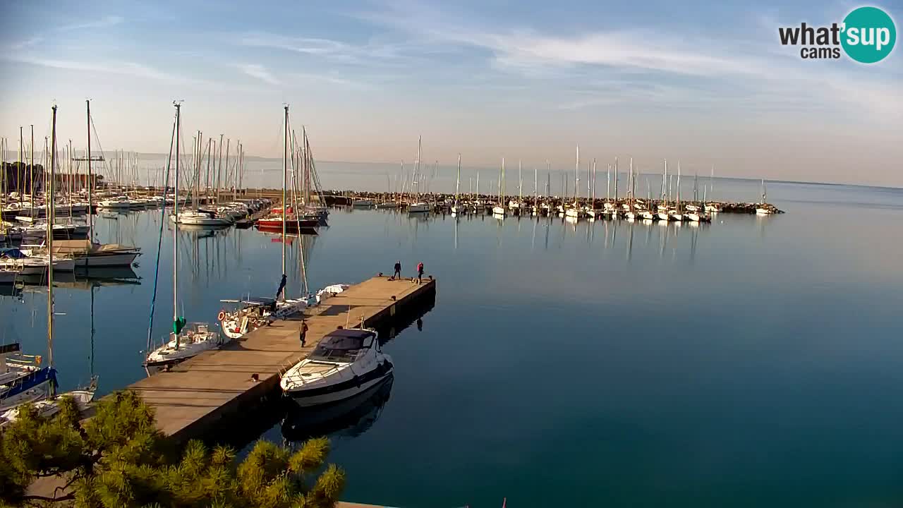 Webcam Sistiana – Vista sobre la marina y la bahía
