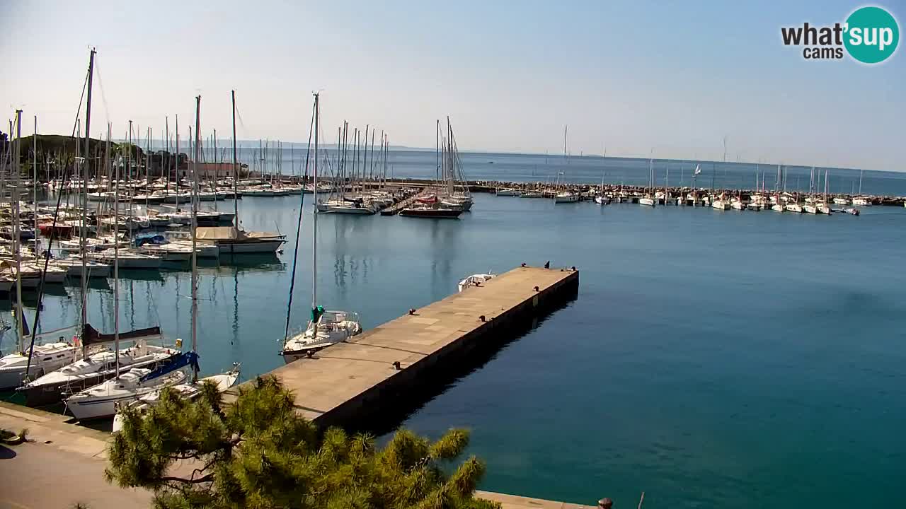 Spletna kamera Sesljan (Sistiana) – Pogled na marino in zaliv