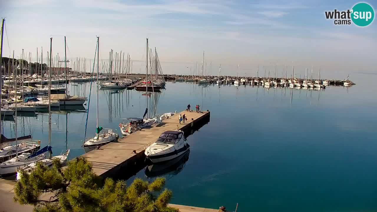 Webcam Sistiana – Vista sobre la marina y la bahía