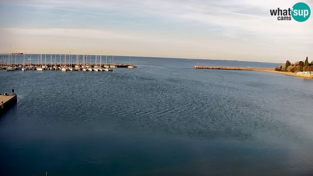 Webcam Sistiana – Marina and Bay Live View