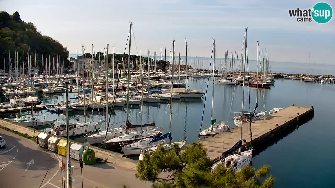 Webcam Sistiana – Vista sobre la marina y la bahía