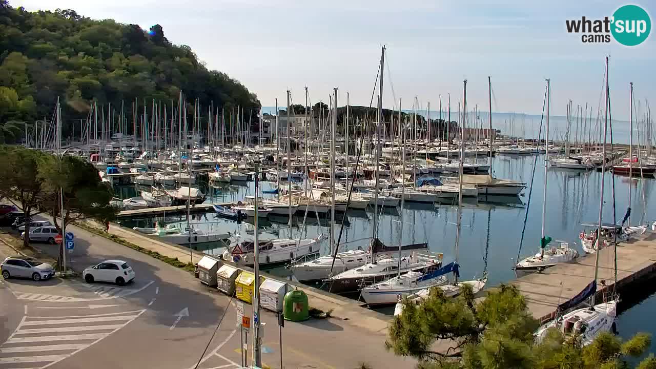 Spletna kamera Sesljan (Sistiana) – Pogled na marino in zaliv