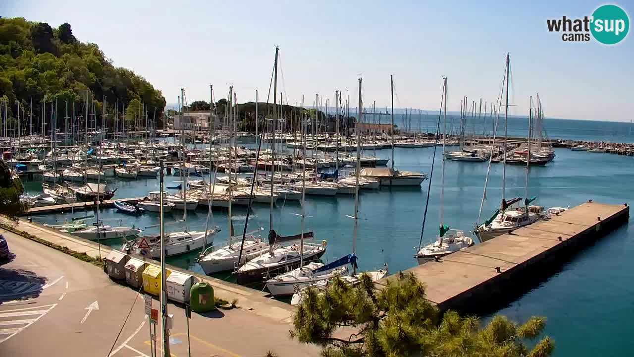 Webcam Sistiana – Marina and Bay Live View