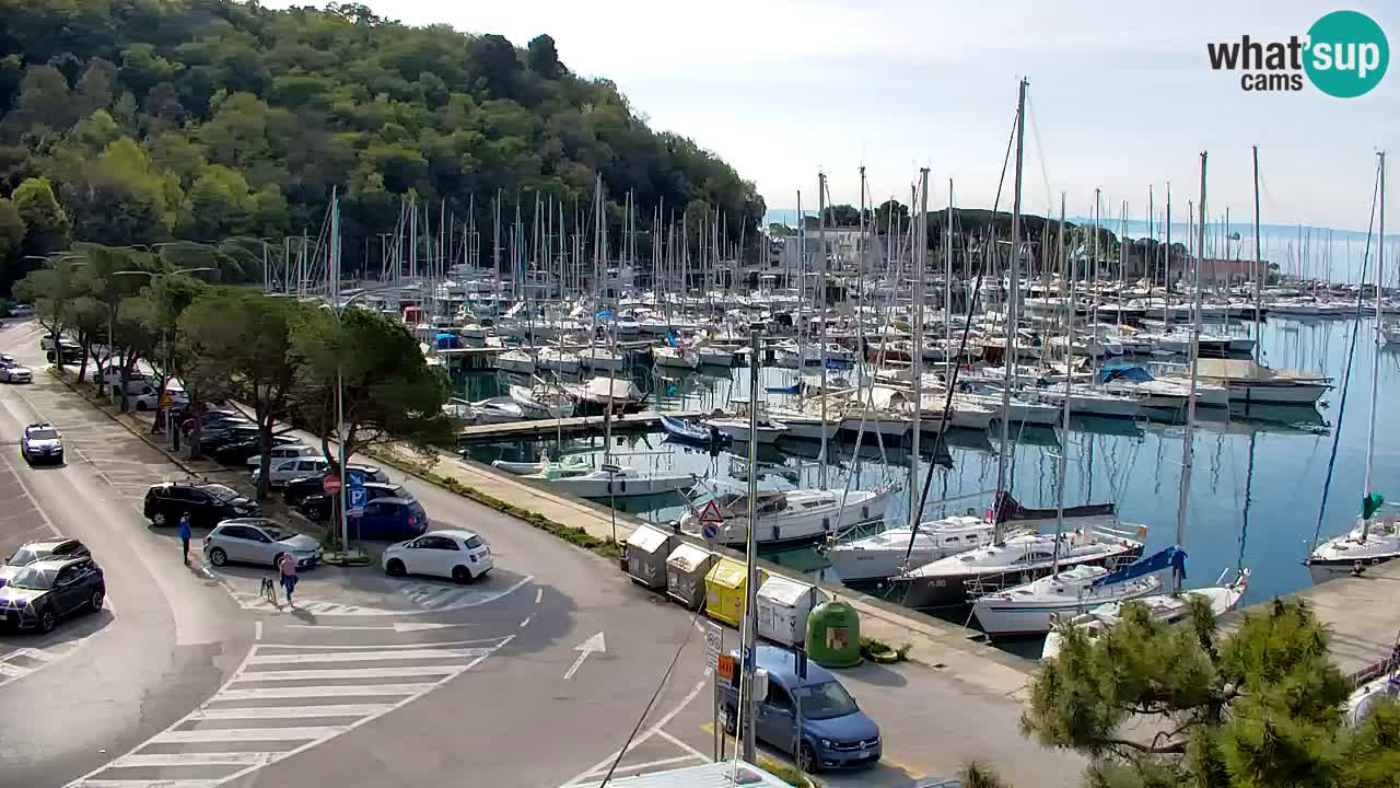 Webcam Sistiana – Pogled na marinu i zaljev