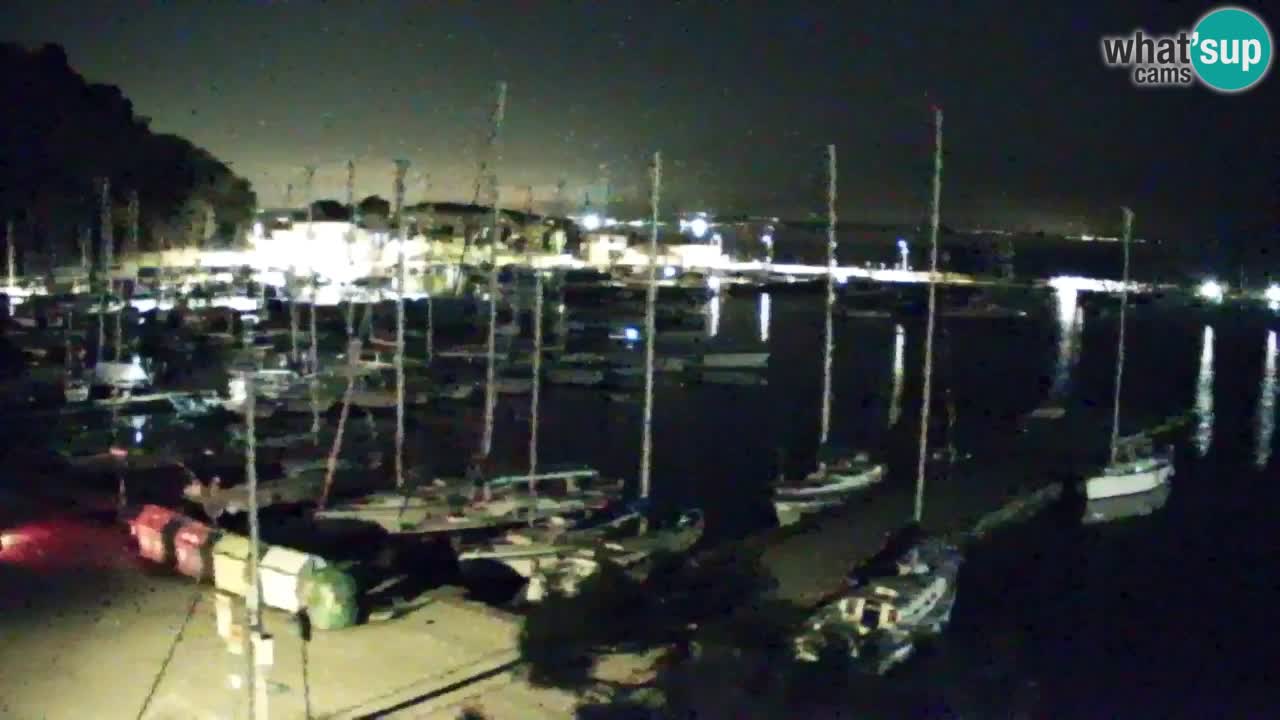 Webcam Sistiana – Marina and Bay Live View