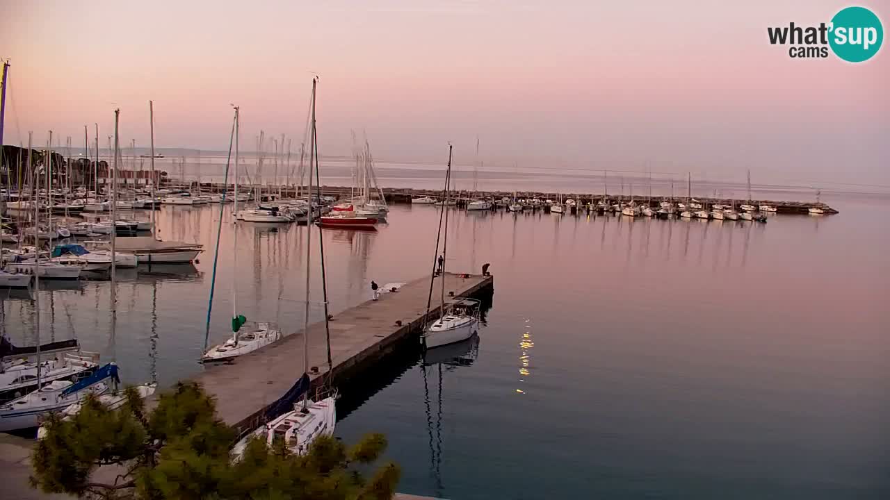 Webcam Sistiana – Pogled na marinu i zaljev