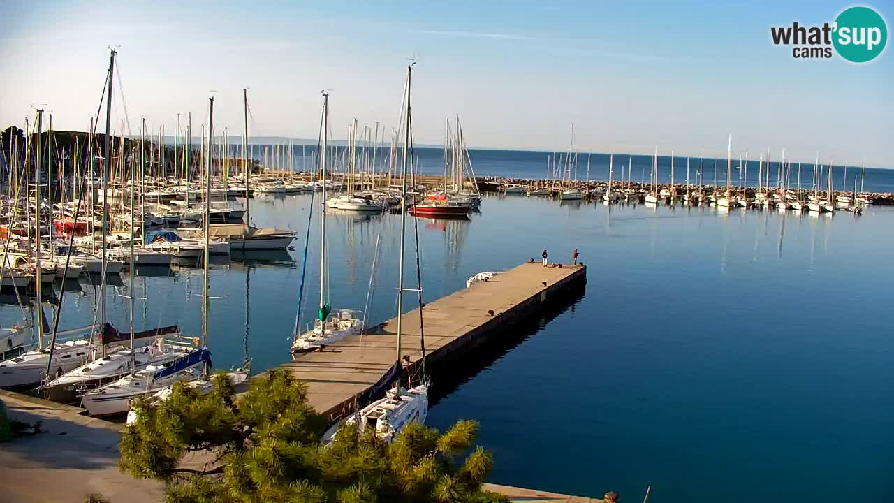 Webcam Sistiana – Pogled na marinu i zaljev