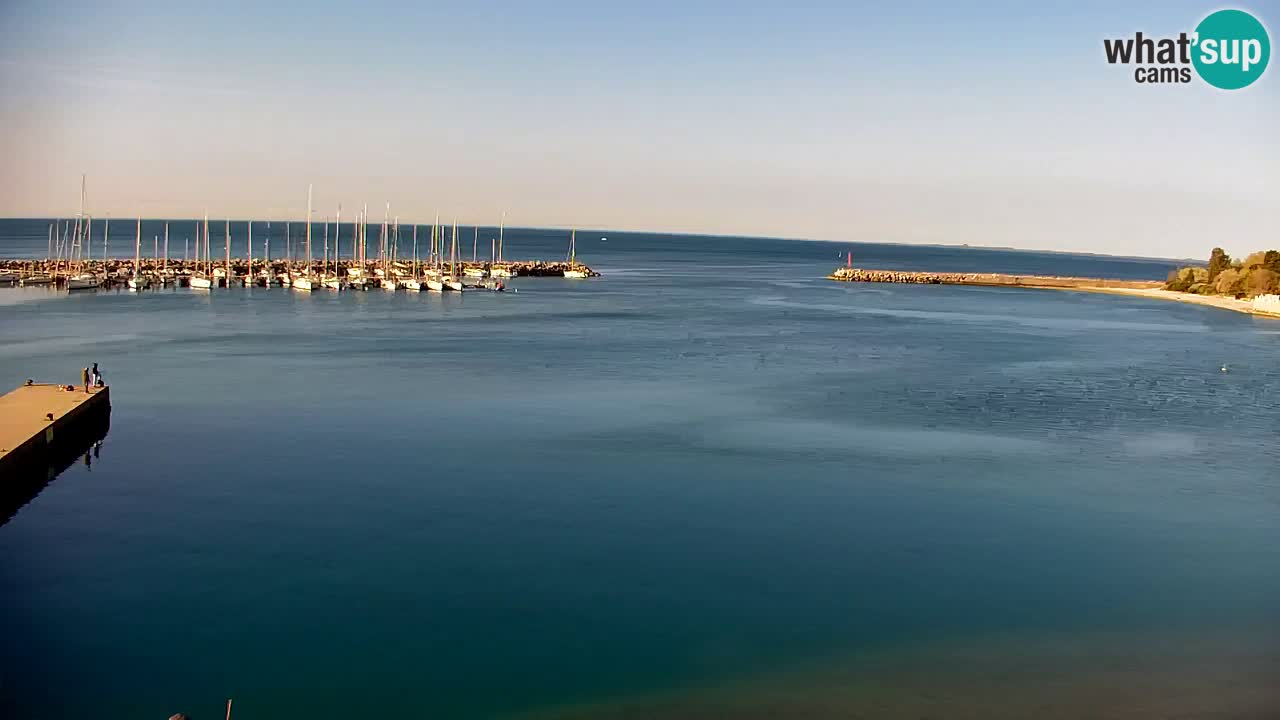 Webcam Sistiana – Marina and Bay Live View