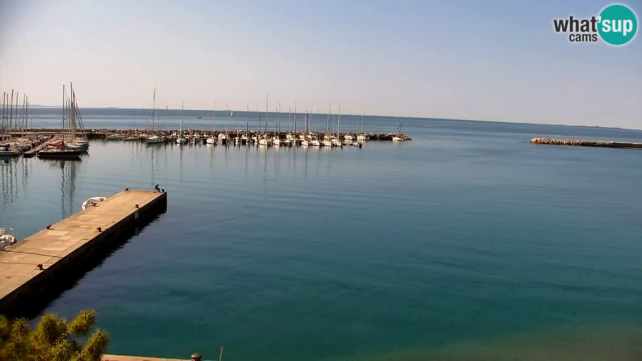 Webcam Sistiana – Pogled na marinu i zaljev