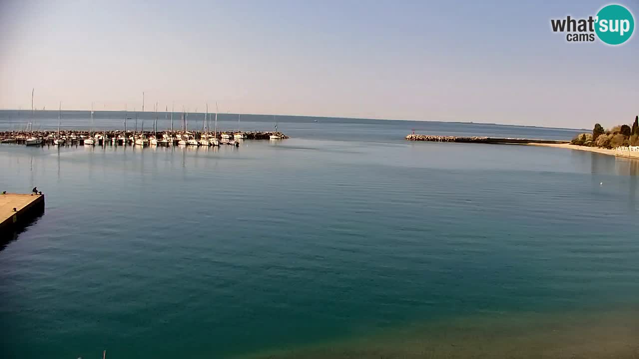 Webcam Sistiana – Marina and Bay Live View