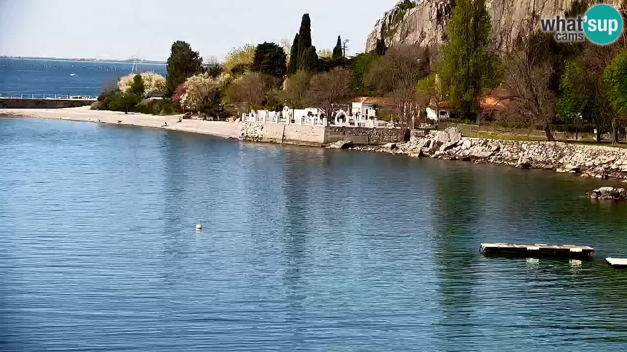 Spletna kamera Sesljan (Sistiana) – Pogled na marino in zaliv