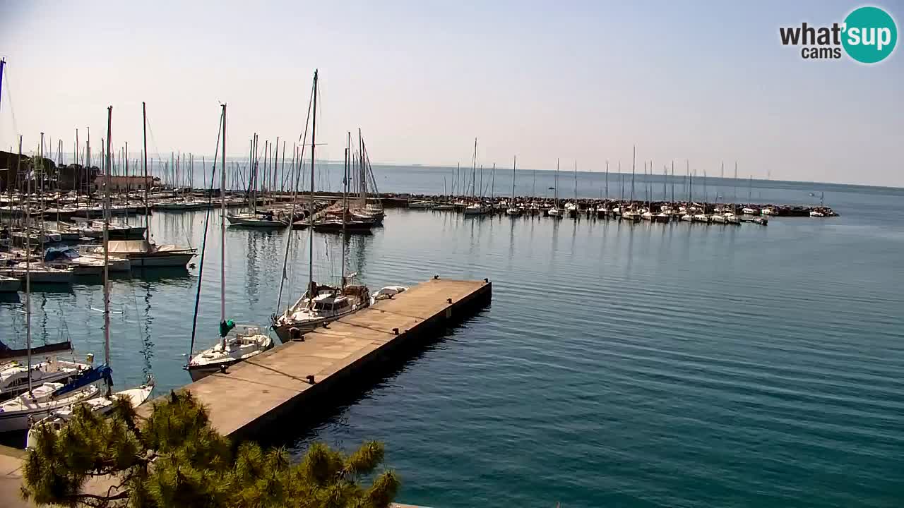 Webcam Sistiana – Marina and Bay Live View