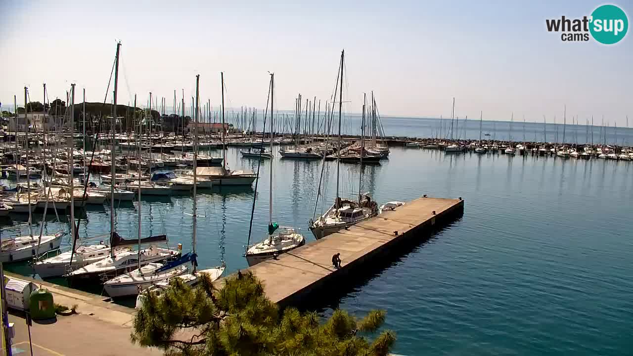 Webcam Sistiana – Blick auf Marina und Bucht