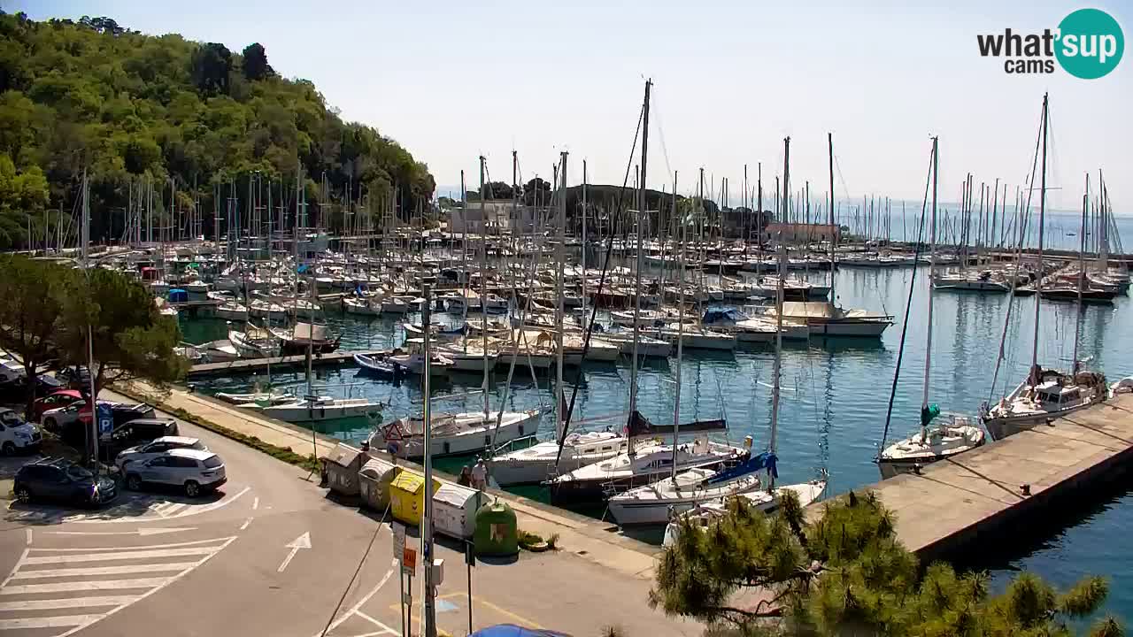 Webcam Sistiana – Pogled na marinu i zaljev