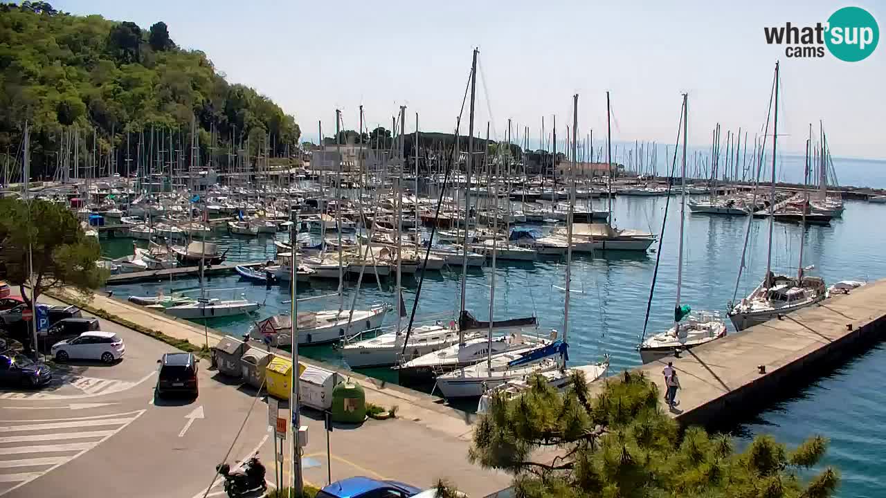 Webcam Sistiana – Blick auf Marina und Bucht