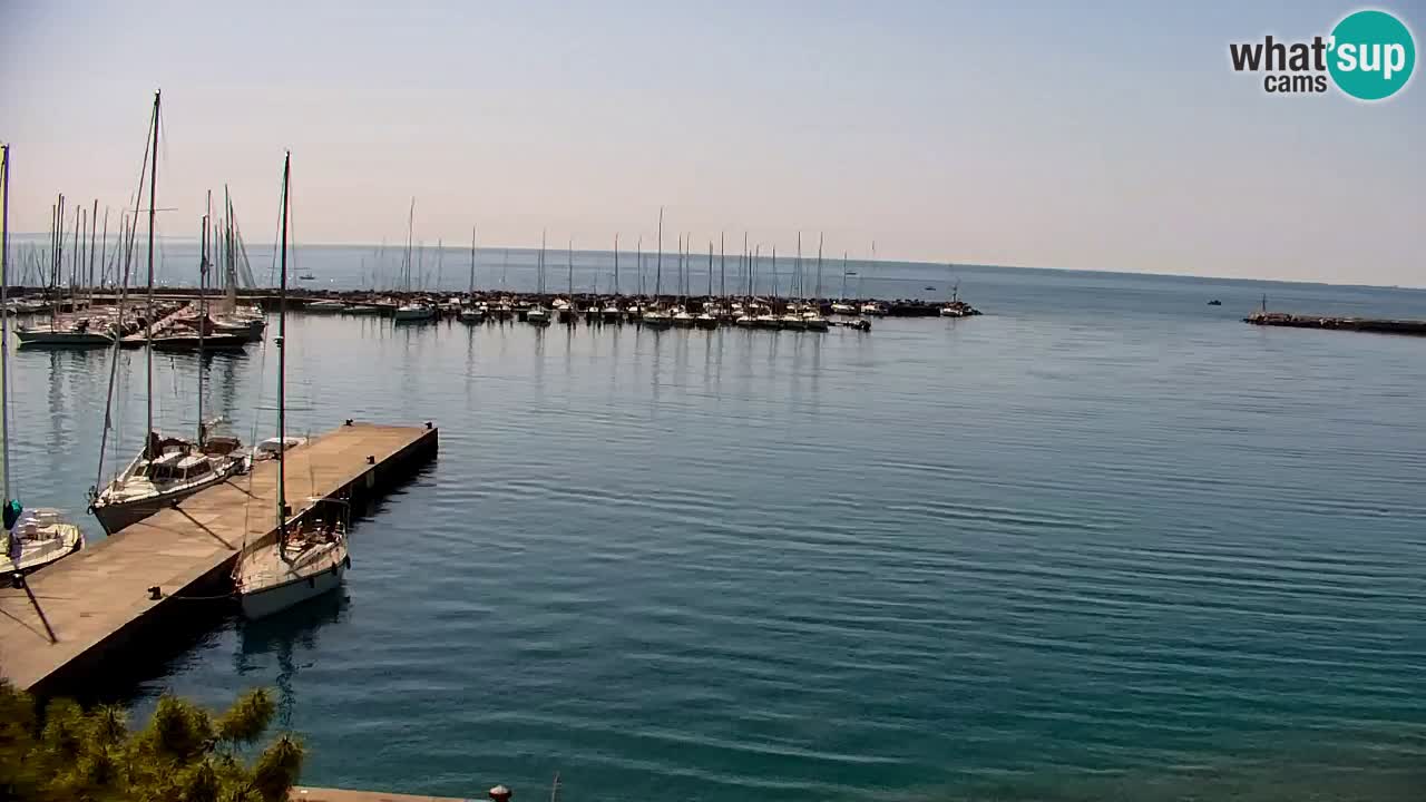 Webcam Sistiana – Pogled na marinu i zaljev