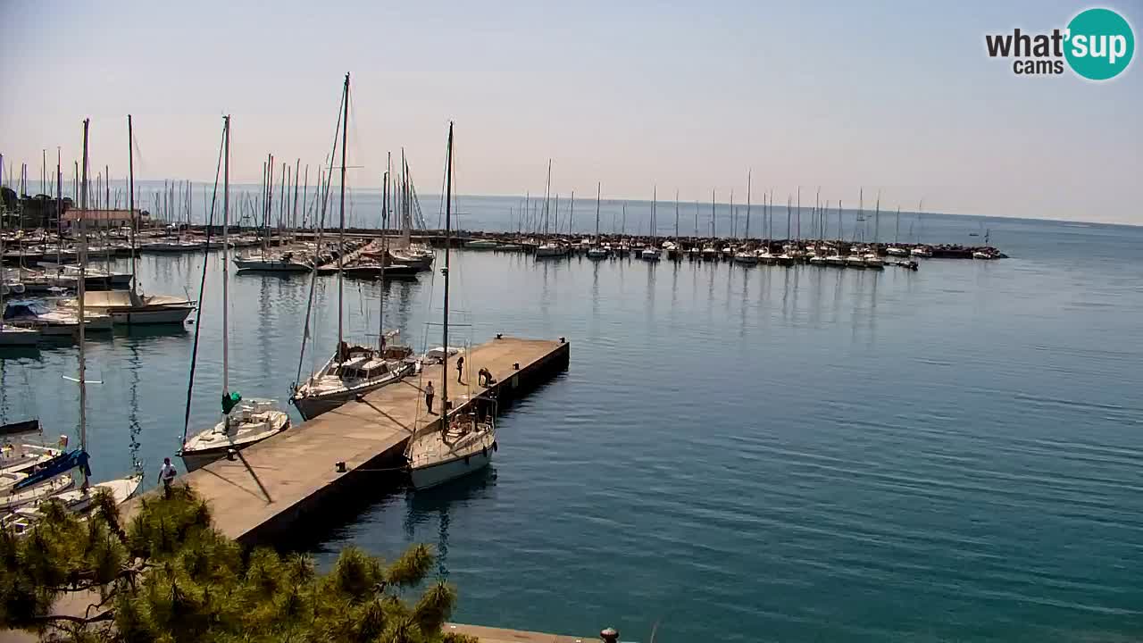 Webcam Sistiana – Vista sulla marina e sulla baia
