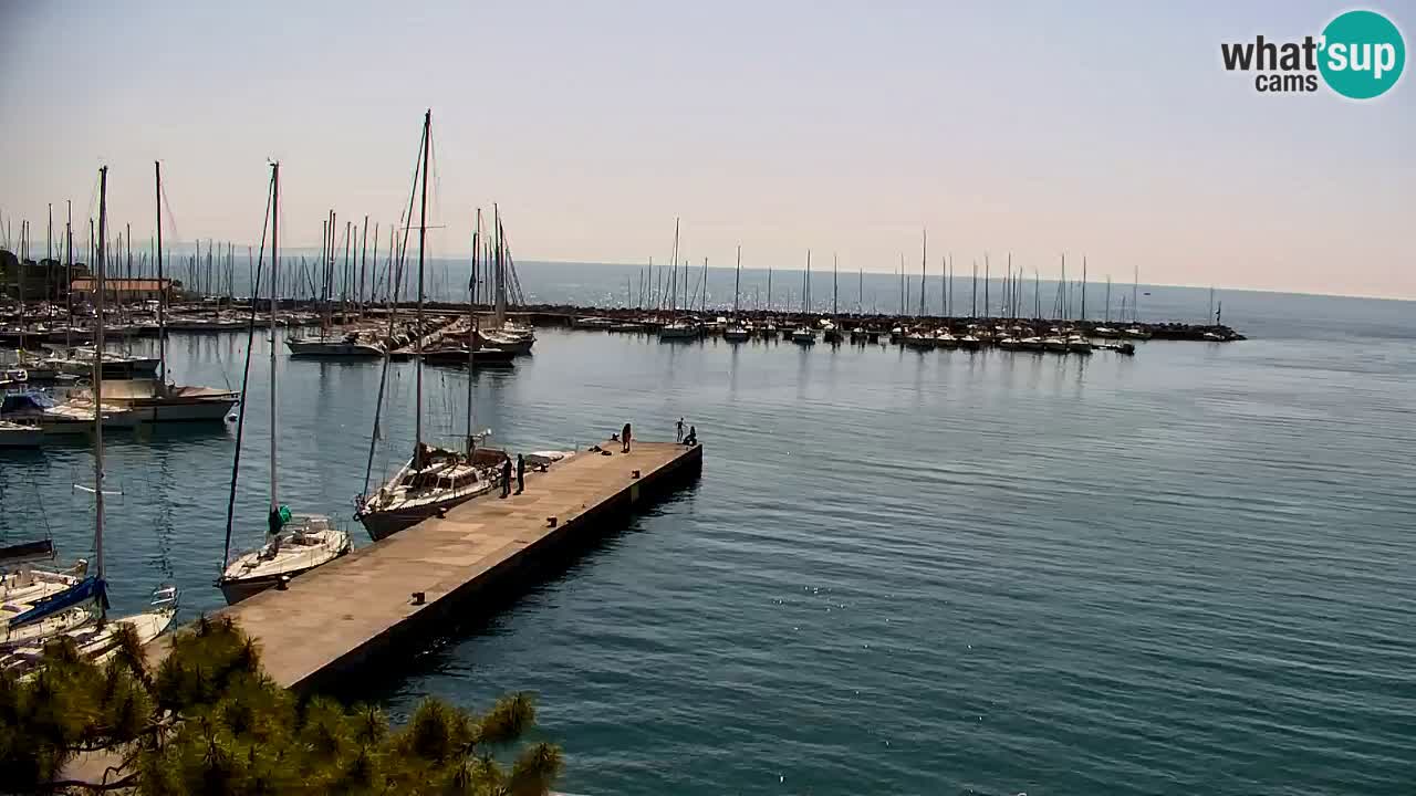 Webcam Sistiana – Vista sulla marina e sulla baia