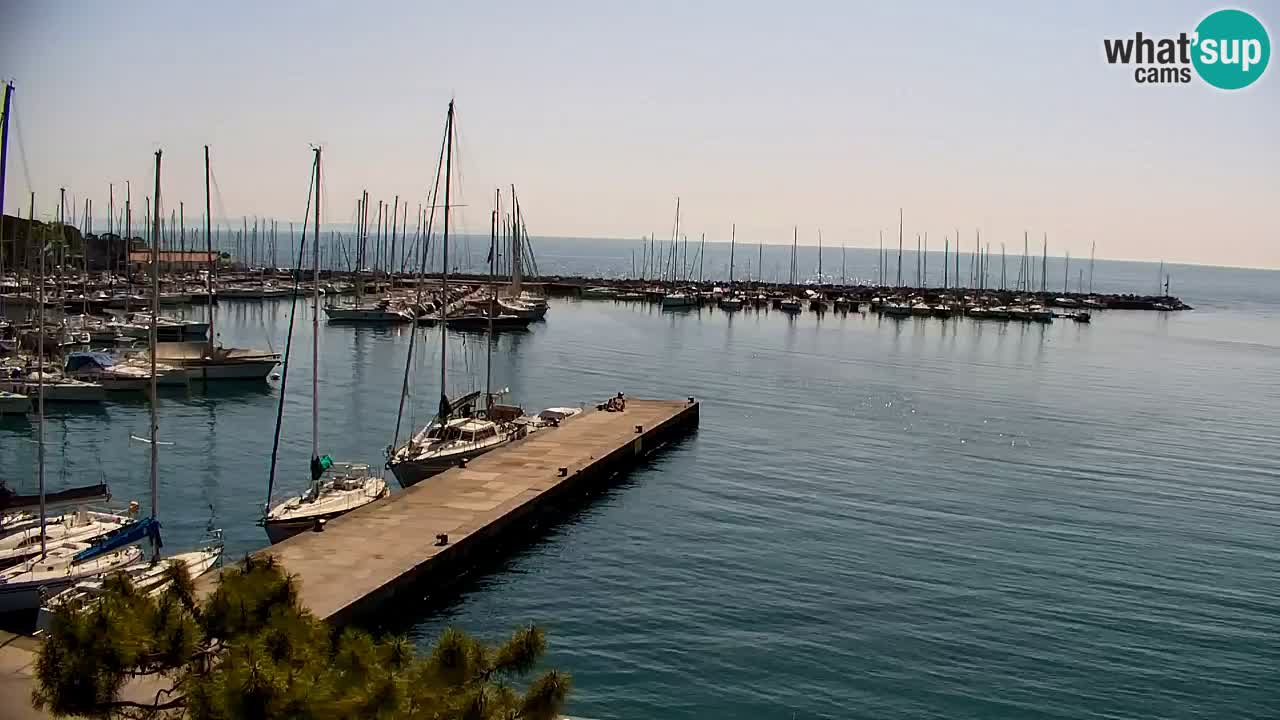 Webcam Sistiana – Marina and Bay Live View