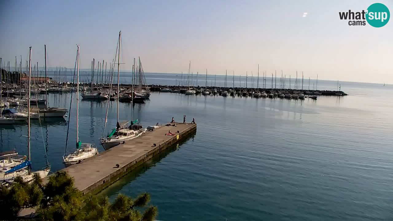 Webcam Sistiana – Marina and Bay Live View