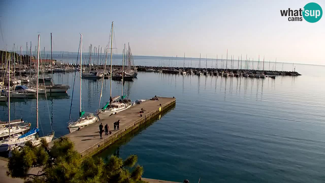 Webcam Sistiana – Marina and Bay Live View