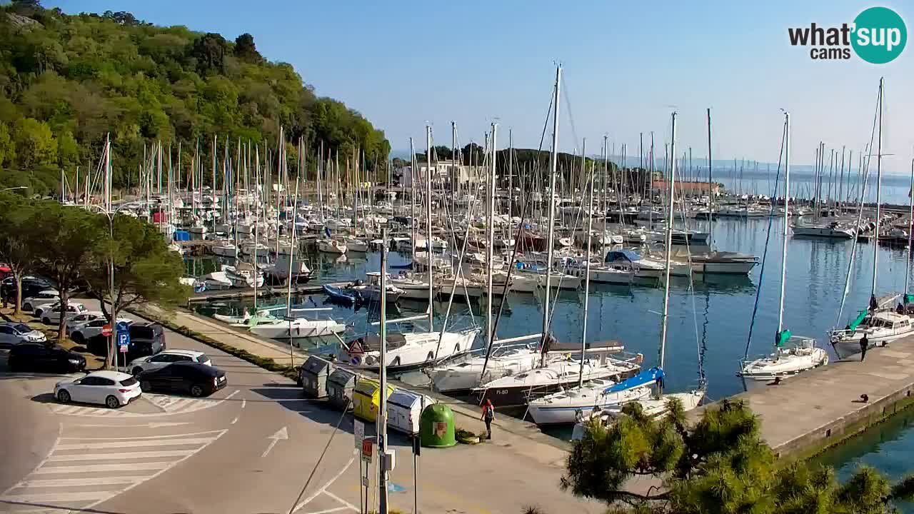 Spletna kamera Sesljan (Sistiana) – Pogled na marino in zaliv