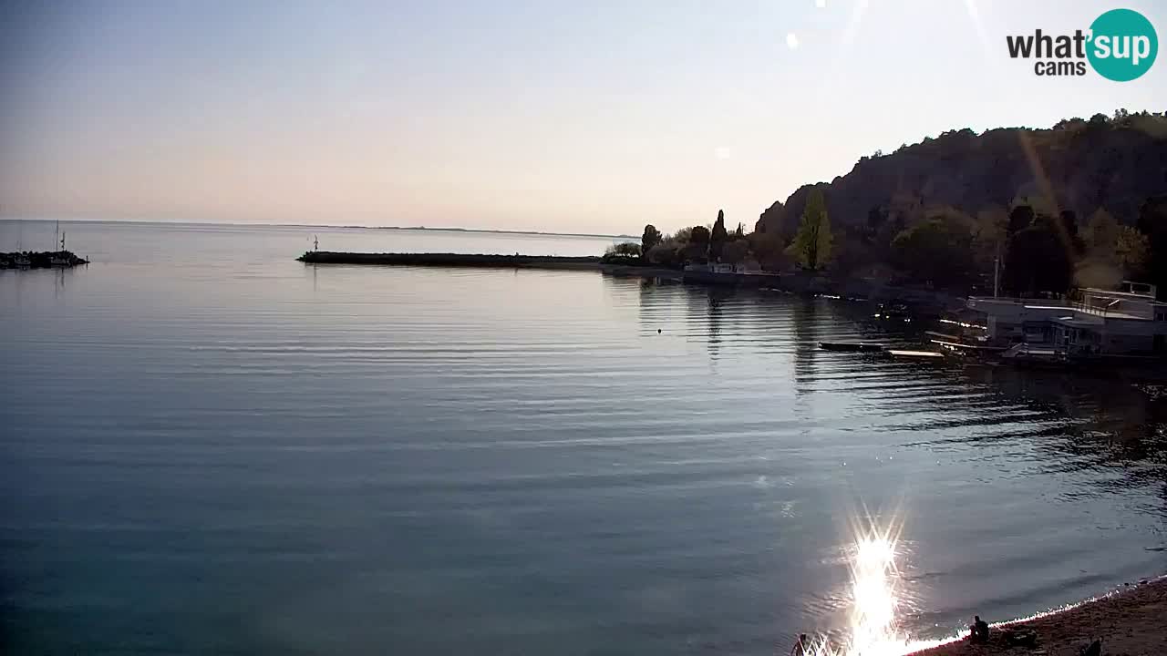 Spletna kamera Sesljan (Sistiana) – Pogled na marino in zaliv